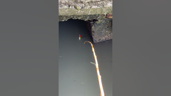 Câu cá rô đồng - chắc chắn là dậy.. #fishing #cauca #mientay