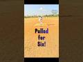Pulled for six 🏏 #cricket #trending #shorts #six #ipl