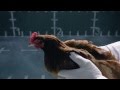 Jaguar vs chicken  reply ad to mercedes  funny commercial