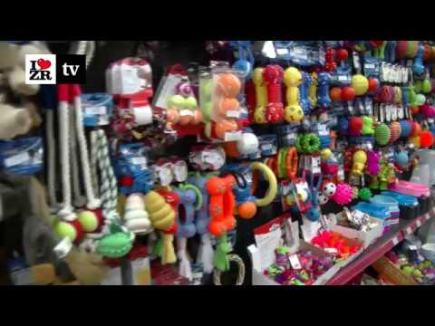 Gama Pet Centar Zrenjanin Youtube