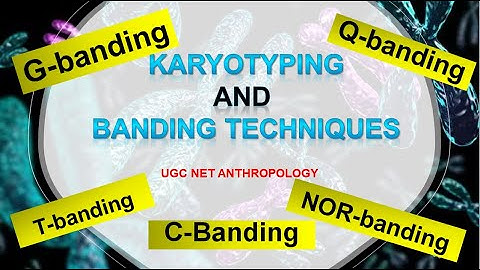 KARYOTYPING & BANDING TECHNIQUE | UGC NET ANTHROPOLOGY