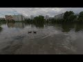 Ducks On A Larger Pond On Your VR180 Holiday