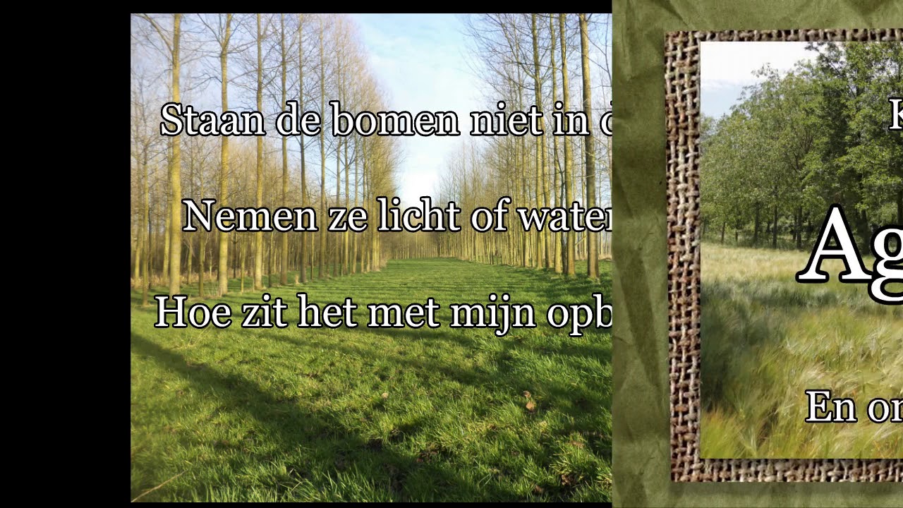 Agroforestry  op Agriflanders