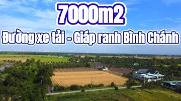 Bán 7000m2 tại xã Tân Bửu, huyện Bến Lức, tỉnh Long An