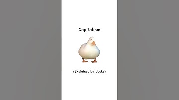 Capitalism (explained by ducks)