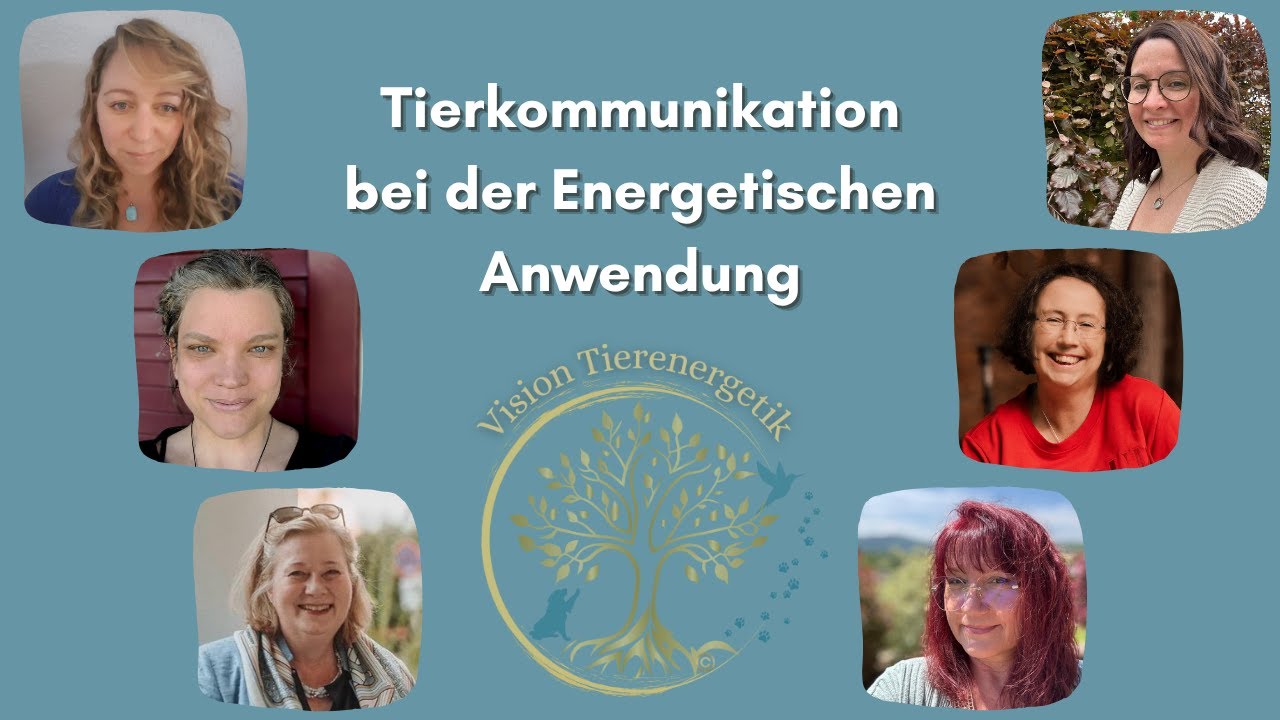 No. 17 Tierkommunikation bei der energetischen Anwendung