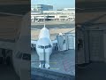 Airbus A320neo Passenger And Crews Docking Shorts