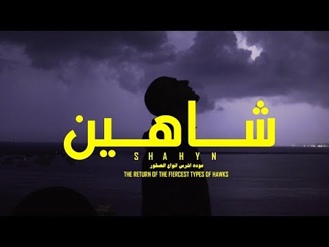          شاهين عودة اشرس انواع الصقور
