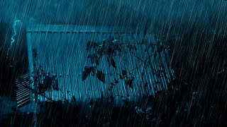 STRONG THUNDER STORM for Insomnia & Heavy Windy Rain Sounds for Sleeping on Metal Tin Roof at Night by Healer Rain 685 views 3 weeks ago 1 hour, 1 minute