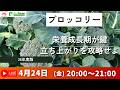 4/24 20:00～ ブロッコリー　栄養成長期が鍵