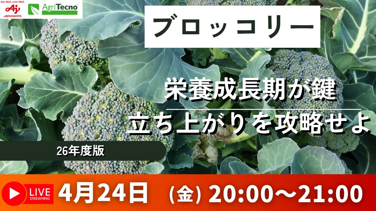 4/24 20:00～ ブロッコリー　栄養成長期が鍵