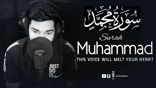 Surah Mohammad Best Quran Recitation in the World {سورة محمد} ┇Our Quran