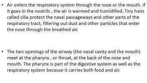Mechanism of respiration(IE 306 1.3) by Sudha Saini,GPC,Ajmer