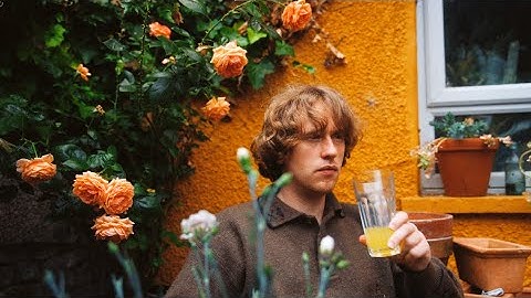 Trust Fund – Has It Been A While? (Official Video)