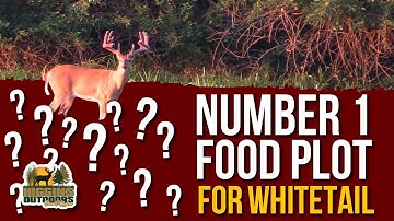 Don Higgins Number 1 Food Plot
