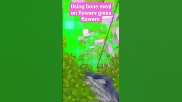 Did you know #minecraft #command #build #new #gameplay