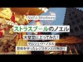 Noël à Strasbourgストラスブールのノエル 大聖堂へ上ってみた!