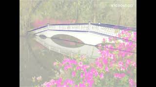 Bridge in Procreate