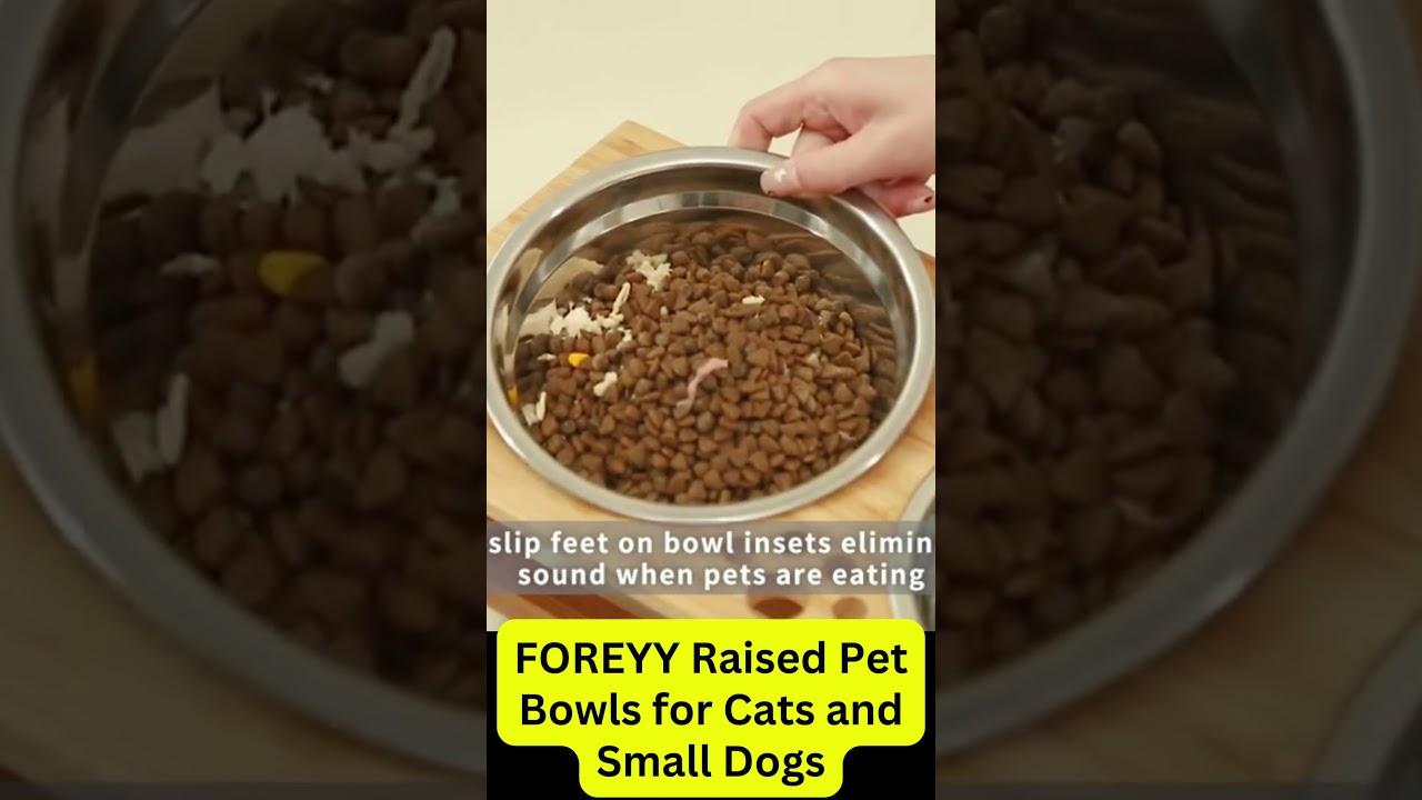 FOREYY Raised Pet Bowls for Cats and Small Dogs 