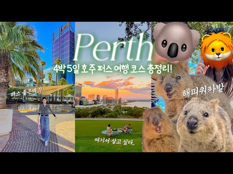 🇦🇺호주 여행 ep1 퍼스 | 영상 한편으로 정리하는 퍼스 여행 코스, 숙소, 가볼 만한 곳, 맛집, 카페 ft. 쿼카 섬 🏝️ ...
