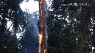 Mau kubur Jenazah di sambar petir
