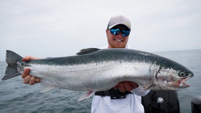 Choosing The Right Reels For Salmon Fishing Lake Michigan 