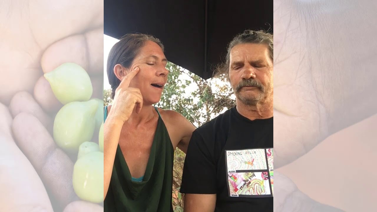 Kimberly Wild Gubinge2 camera iphone 8 plus apk