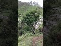 Meri pyari Anju letest garwali video Whatsapp Status Video Download Free