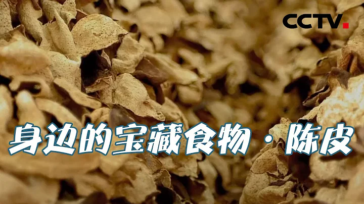 吃對陳皮，巧養生，專家教您用陳皮！ 身邊的寶藏食物·陳皮 20201009 |《健康之路》CCTV科教 - 天天要聞