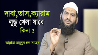 লুডু,তাস,দাবা,ক্যারাম ইত্যাদি খেলা যাবে কিনা ? আল্লামা মামুনুল হক সাহেব screenshot 5