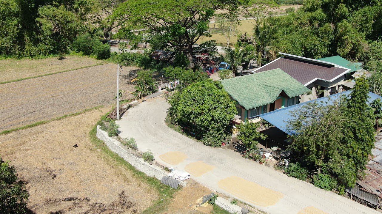 Pozorrubio, Pangasinan AM2020: Rehabilitation/Improvement of Zone2 Brgy Road in Poblacion District 1