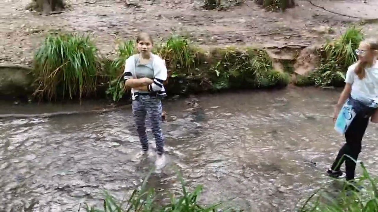 a walk in Blaise castle woods with amber and Alicja