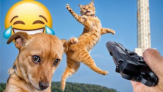 You Laugh You Lose 😍 Funniest Dogs and Cats 2024 😹🐶