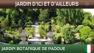 Jardins d'ici et d'ailleurs - Jardin botanique de Padoue - Italie - S/T Français