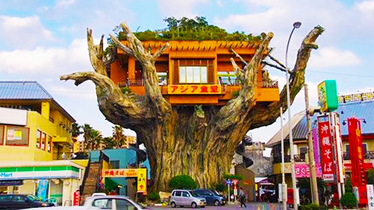 Top 5 Craziest Restaurants You Won't Believe Actually Exist YouTube