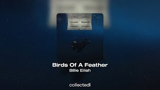 Billie Eilish - Birds Of A Feather by Collected Vibes 1,190 views 2 weeks ago 3 minutes, 31 seconds