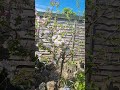 Spring blossom 2025