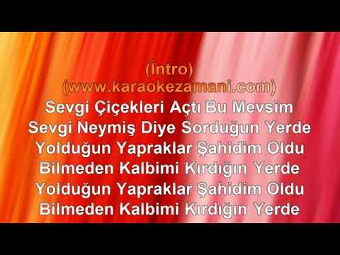 Belgin Gök   Sevgi Çiçekler Açtı Bu Mevsim   2012 TÜRKÇE KARAOKE