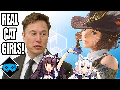 Elon Musk Promised us Cat Girls!
