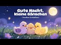 Gute Nacht, kleine Gänschen 🌙 Sanftes Schlaflied zum Einschlafen 🪿💤 | Die Musikzwerge
