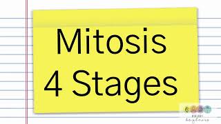 Leaving Cert Biology Mitosis-Basic Summary.