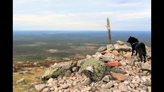 Jekku Schipperke hiking in Lapland - Jekku vaeltaa Lapissa (Hetta-Pallas) by Jekku Schipperke 1,177 views 1 year ago 12 minutes, 30 seconds