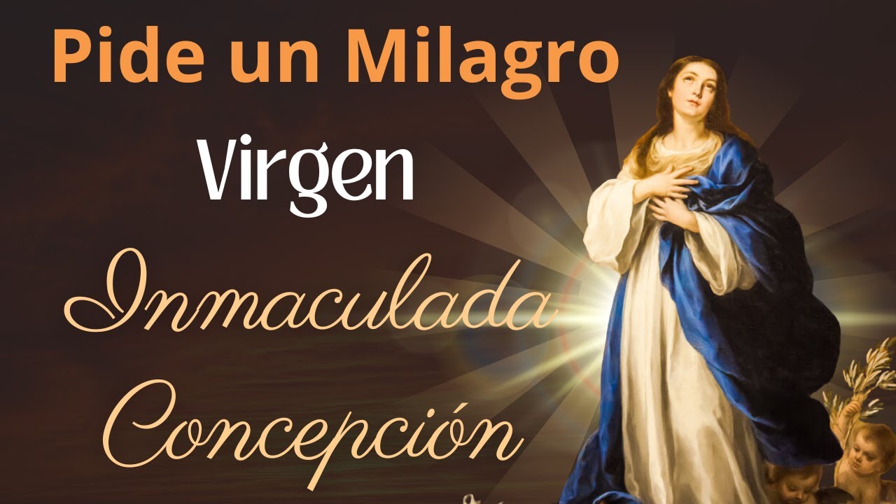 🌟 Reza Este Rosario a la Inmaculada Concepción Hoy… y Verás Bendiciones Inesperadas