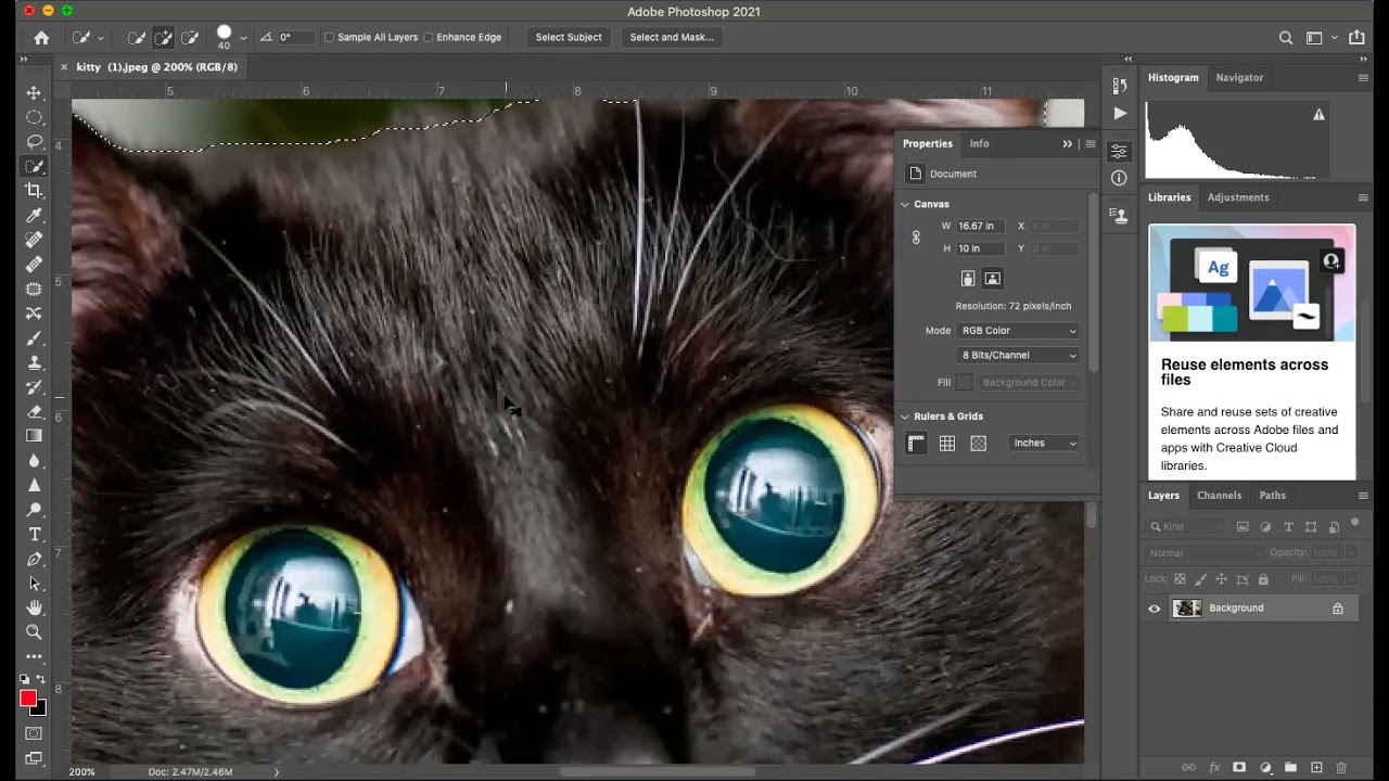 Quick Selection PHOTOSHOP