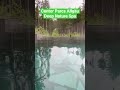 Center Parcs  Allgäu / Deep Nature Spa #shortsvideo #shortsfeed #shorts #shortfeed #fypシ #fyp #short