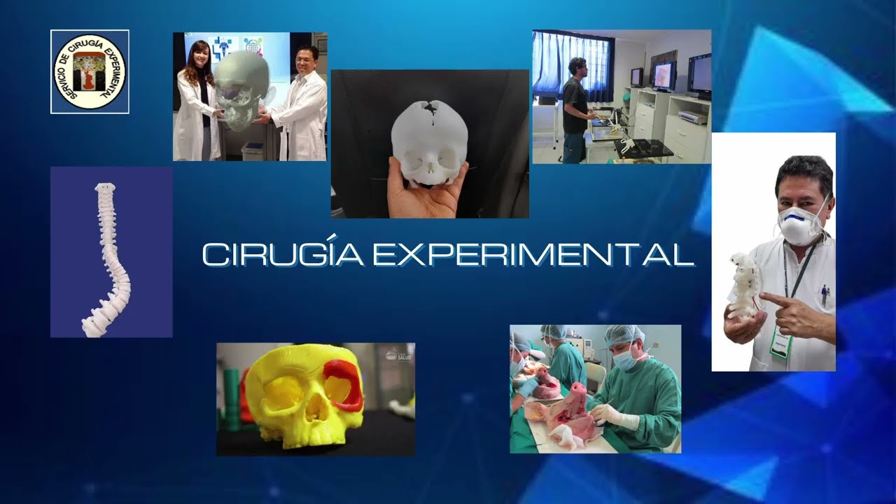 INSN -  Neuroendoscopio   3D