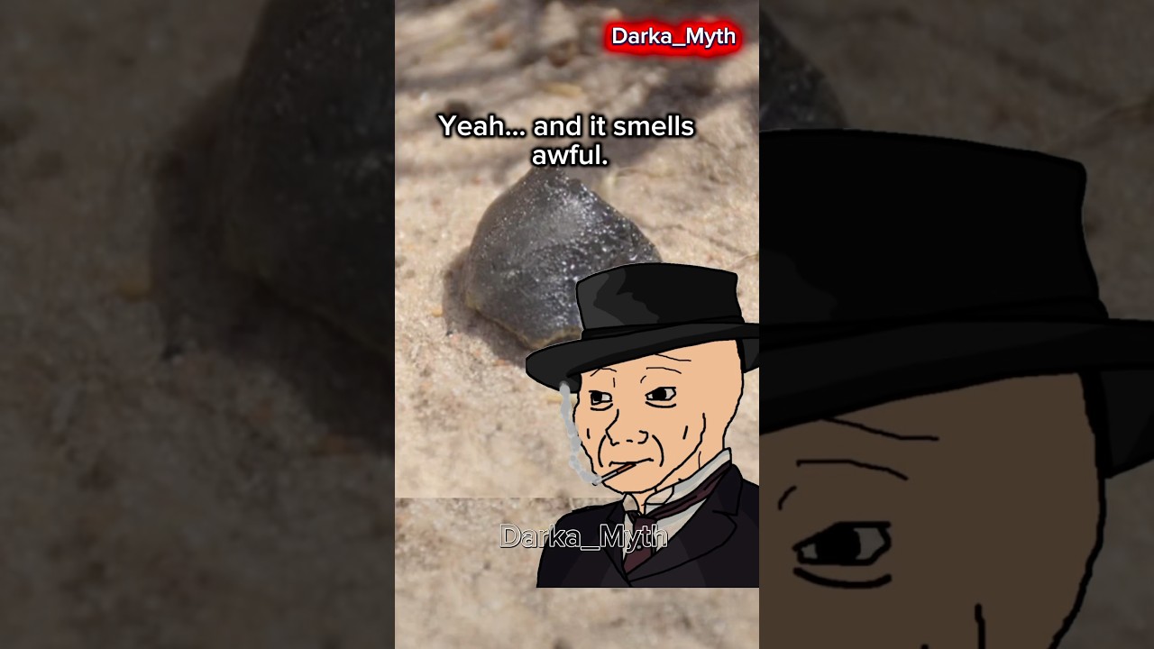 A Discovery That Shouldn’t Exist