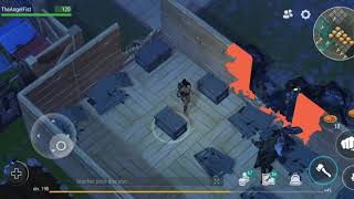 Raid ldoe Player8329