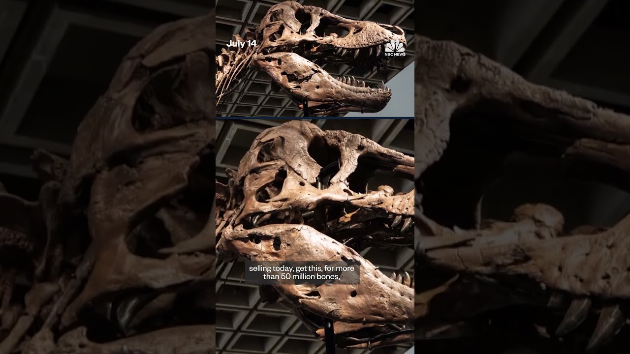 T. rex named Gus sells for record-setting .1 million