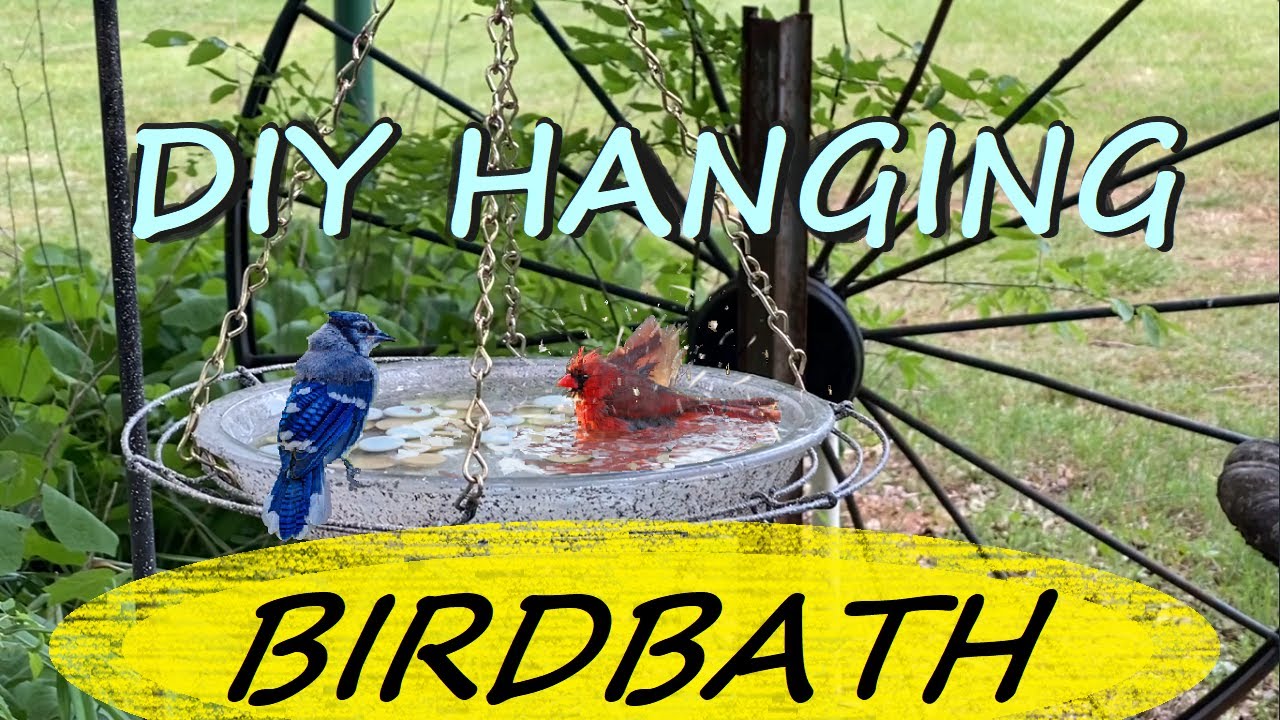Diy Bird Bath They'll Love - YouTube